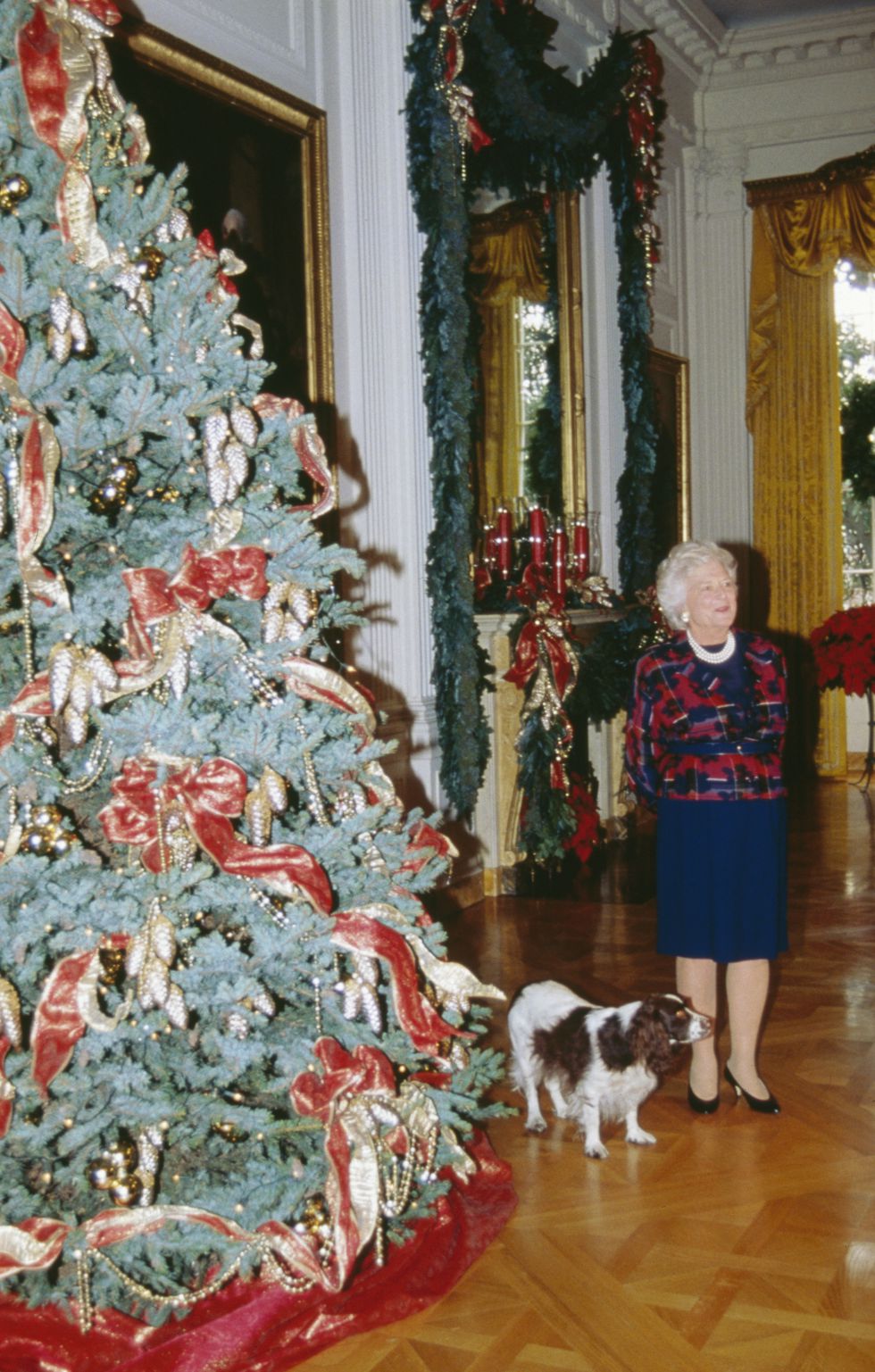(1992) Barbara Bush giới thiệu trang trí Giáng sinh cùa Nhà Trắng với chú chó Springer Spaniel Anh Millie. Ảnh: Getty Images.