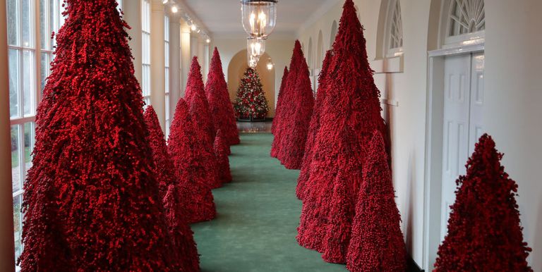 (2018) Nhà Trắng hé lộ loạt cây với màu đỏ rực theo chủ đề 