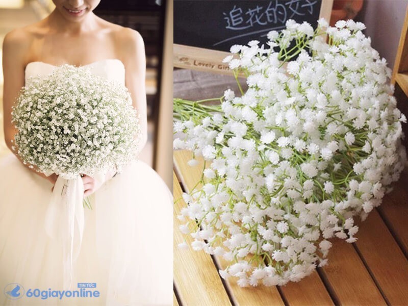 Hoa baby trắng luôn là lựa chọn hàng đầu trong lễ cưới