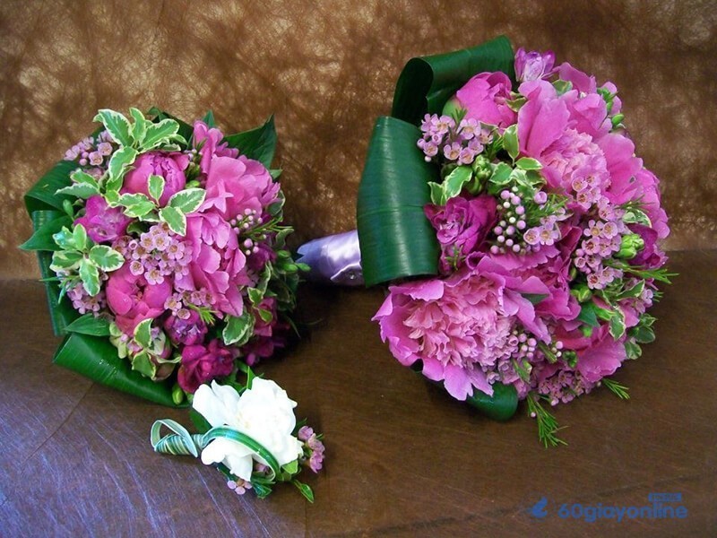 Hoa cẩm chướng tượng trưng cho 1 tình yêu tinh khiết