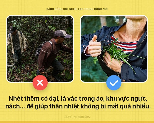 5 bí kíp buộc phải biết để sinh tồn khi bị lạc trong rừng - Ảnh 5.