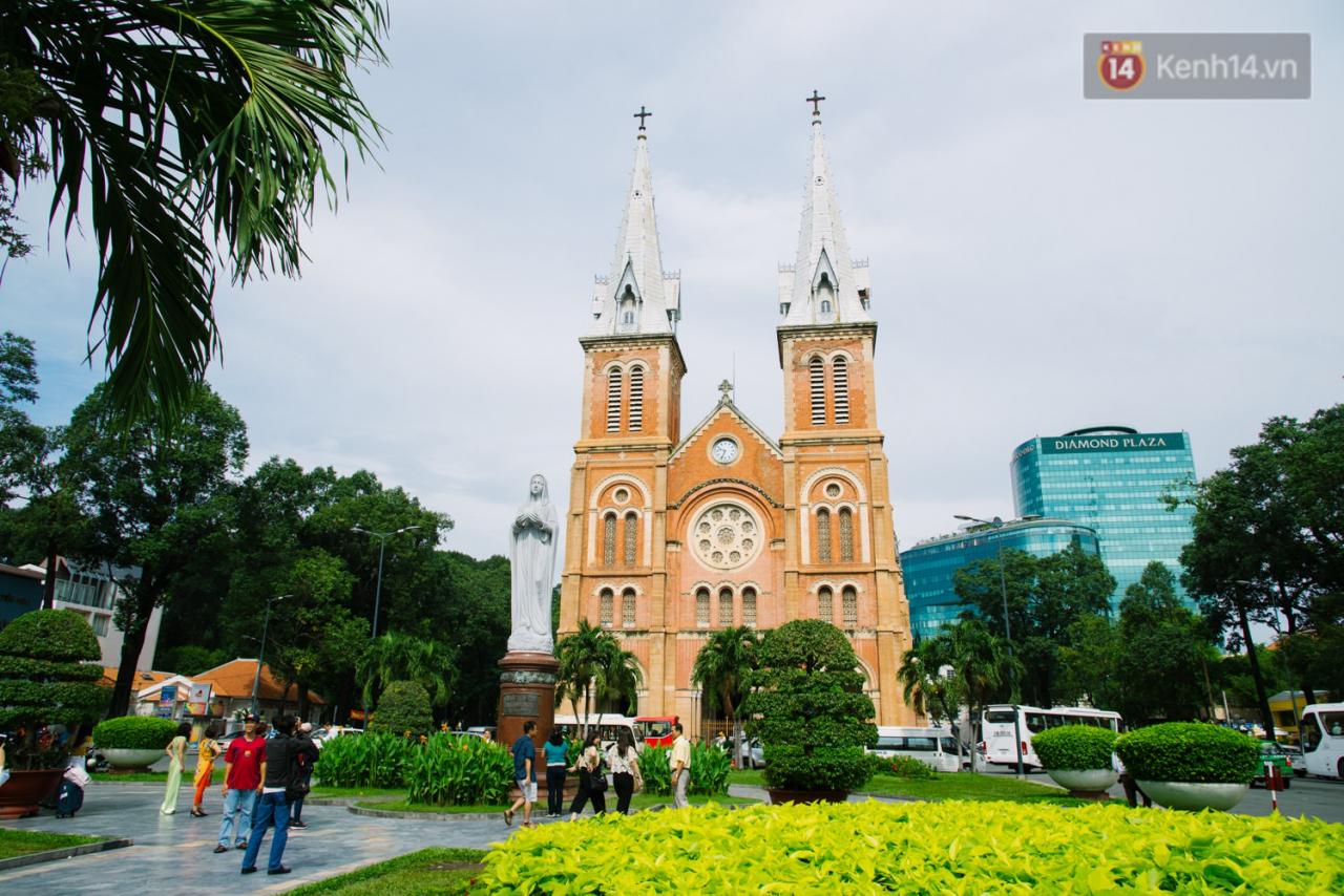 Vì sao Sài Gòn có rất nhiều chợ mang tên cây cỏ kỳ lạ?