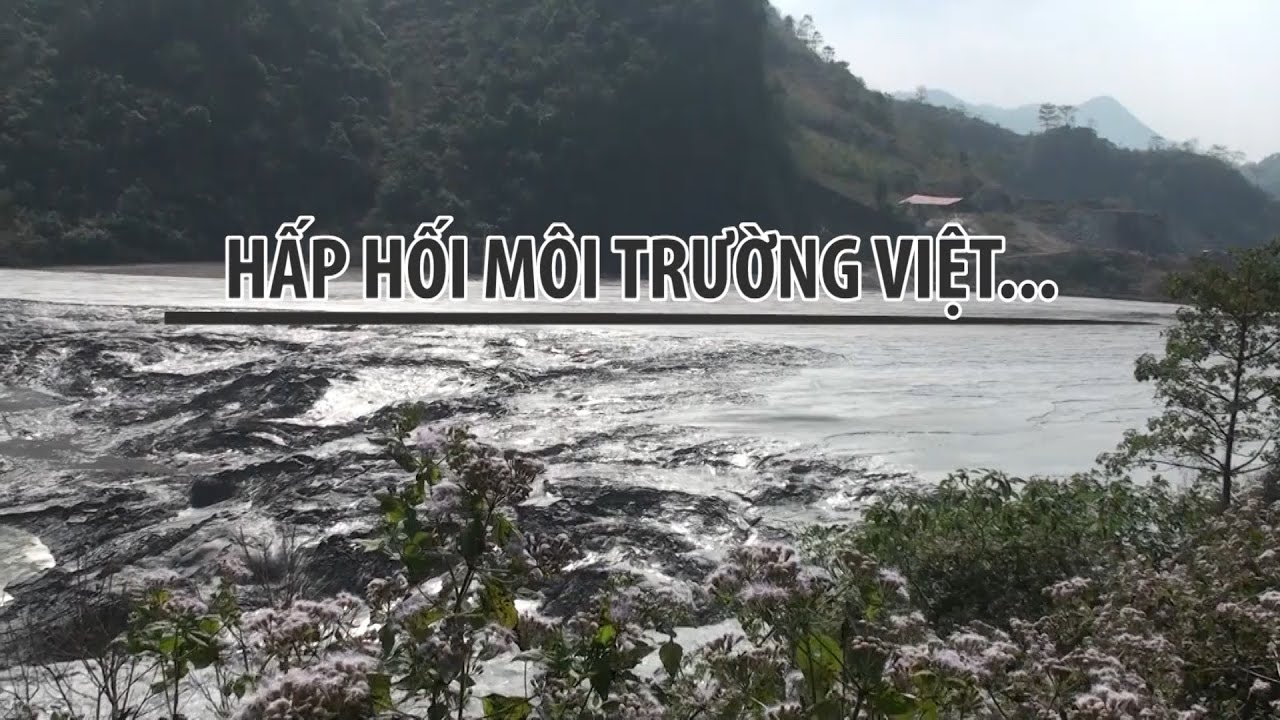 Hấp hối môi trường Việt...