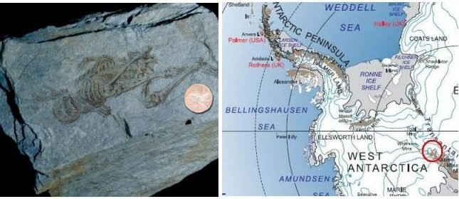 Phát hiện 2 bộ xương người tí hon 600 triệu năm tuổi ở Nam Cực