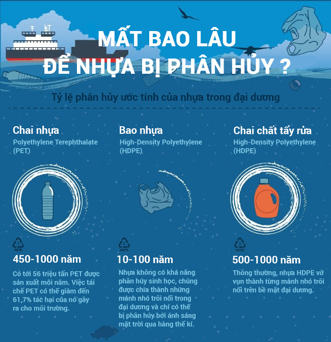 Mất bao lâu để rác thải nhựa có thể phân hủy?