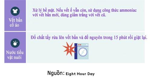 meo hay danh bay 1001 vet ban cung day - 10