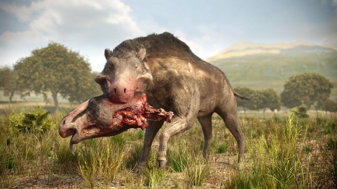 Loài lợn khổng lồ cổ đại: Kẻ khủng bố của Bắc Mỹ thời tiền sử - Ảnh 11.