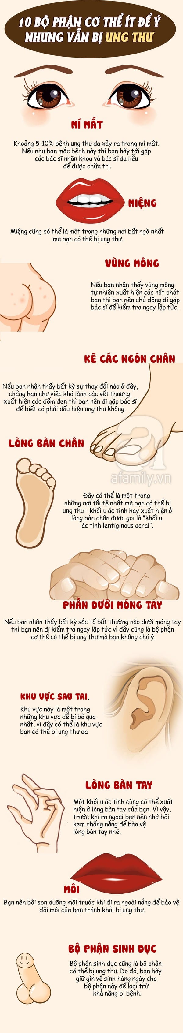 bộ phận cơ thể dễ bị ung thư