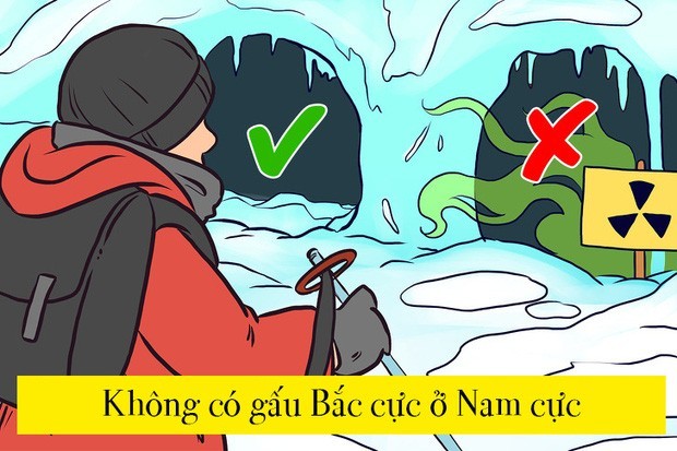 Nếu giải được 3 trong số 10 câu đố này là bạn đã giỏi lắm rồi đấy - Ảnh 14.