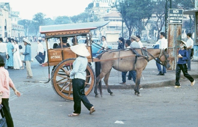 xe ngựa, sài gòn xưa, 