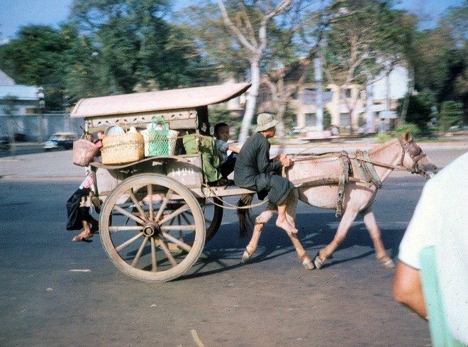 xe ngựa, sài gòn xưa, 