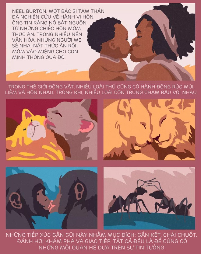 [Infographic] Nụ hôn bắt nguồn từ đâu? Tại sao chúng ta hôn nhau và khoa học phía sau mọi nụ hôn - Ảnh 3.