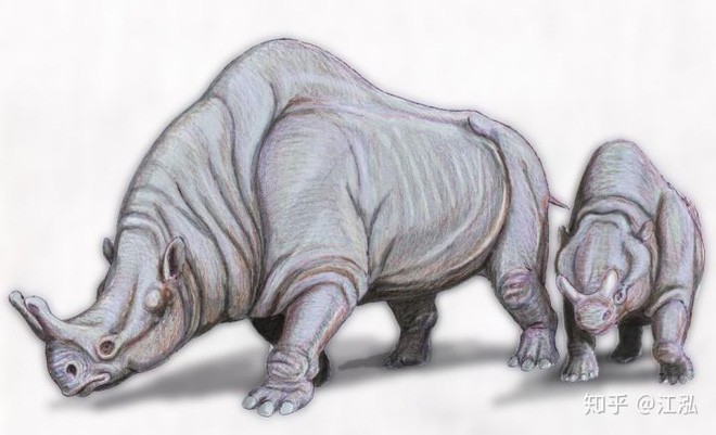 Loài lợn khổng lồ cổ đại: Kẻ khủng bố của Bắc Mỹ thời tiền sử - Ảnh 2.