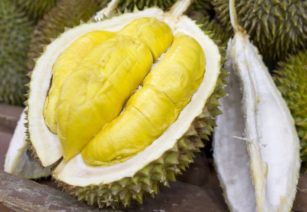 Quả sầu riêng được nhiều người ở Đông Nam Á xem như là "vua của các loại trái cây"