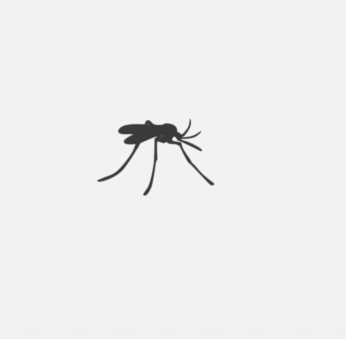 10 điều thú vị về muỗi có thể bạn chưa biết