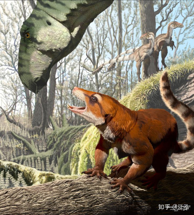 Tại sao không có động vật có vú khổng lồ trong kỷ nguyên khủng long? - Ảnh 1.