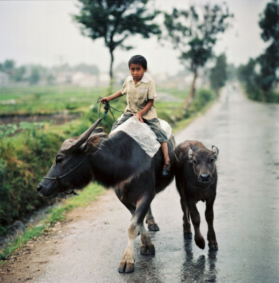 Miền Bắc Việt Nam 1969. Ảnh: Thomas Billhardt