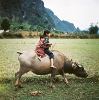 Miền Bắc Việt Nam 1979. Ảnh: Thomas Billhardt