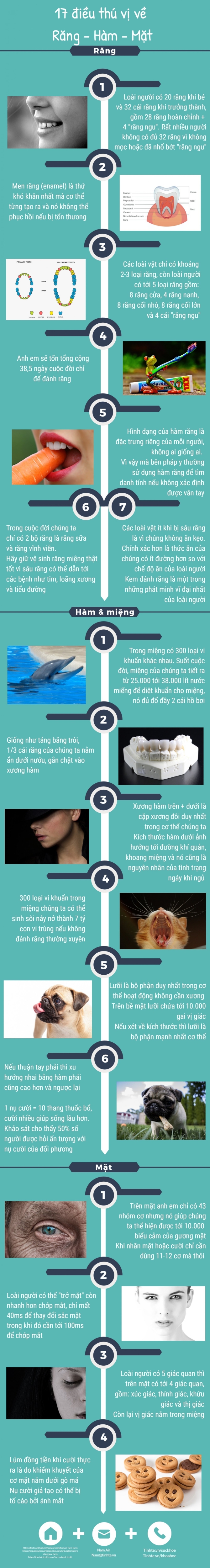 Tinhte_infographic_rang-ham-mat.jpg