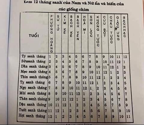 Xem tuổi và tháng sinh âm lịch để biết mang mệnh chim gì?