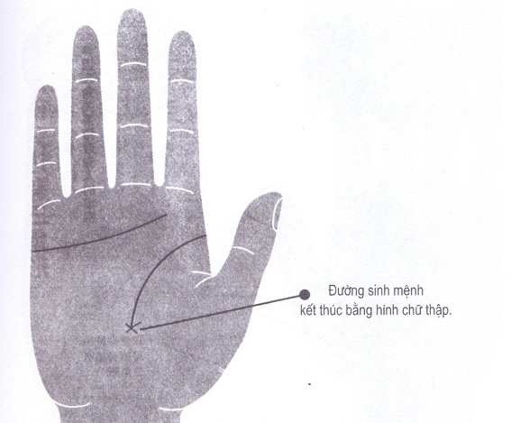 Xem chỉ tay đường sinh mệnh biết ngay người bệnh tật hay khỏe mạnh, ai phúc dày mệnh lớn-6