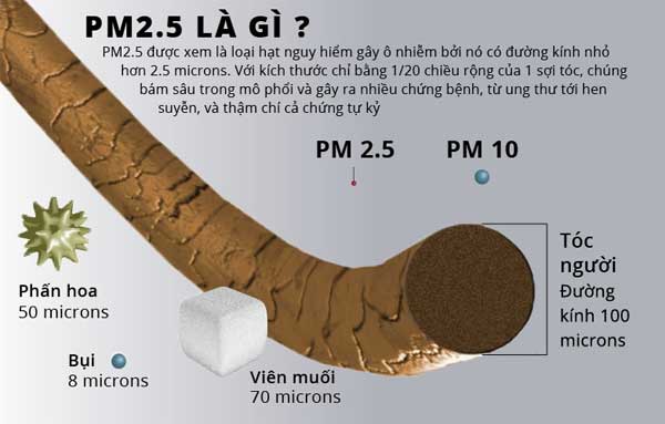 PM2.5 là gì? Những tác hại khi hít phải bụi siêu mịn trong không khí bạn cần biết