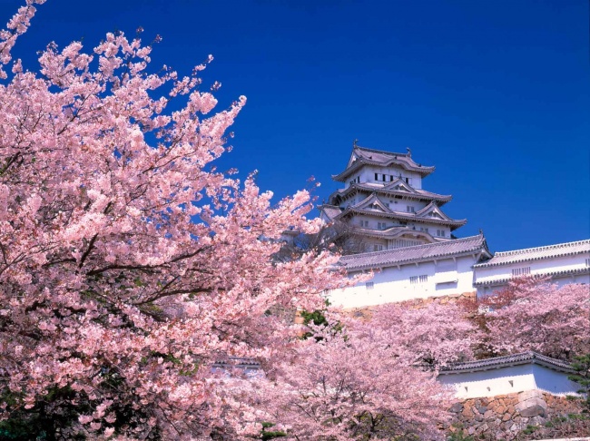 10 điều về giáo dục của Nhật khiến thế giới ganh tị