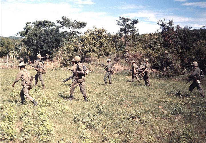  Trọng 7 năm tham chiến ở Việt Nam, sư đoàn này đã tham gia 15 chiến dịch lớn, đáng chú ý trong số đó là trận Đồi Thịt Băm năm 1969 và trận đánh Căn cứ hỏa lực Ripcord năm 1970. 