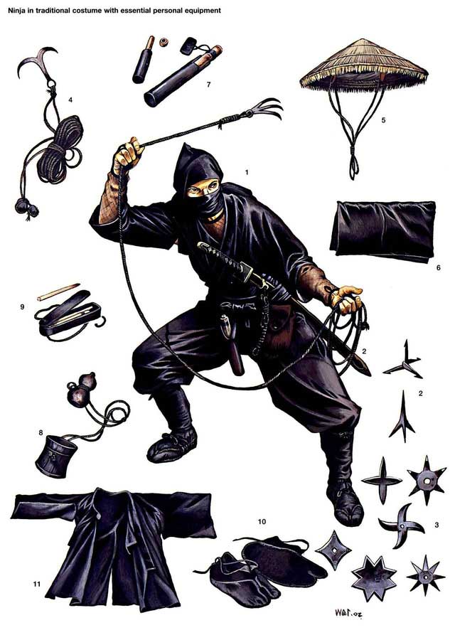 Kỹ thuật và loại hình khí tài của ninja rất đa dạng.