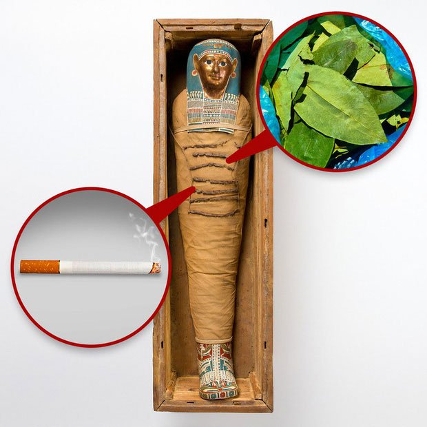 Cocaine và thuốc lá trong xác ướp Ai Cập