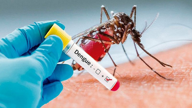 6 hiểu lầm nguy hiểm về bệnh sốt xuất huyết có thể khiến người bệnh tử vong - Ảnh 3.