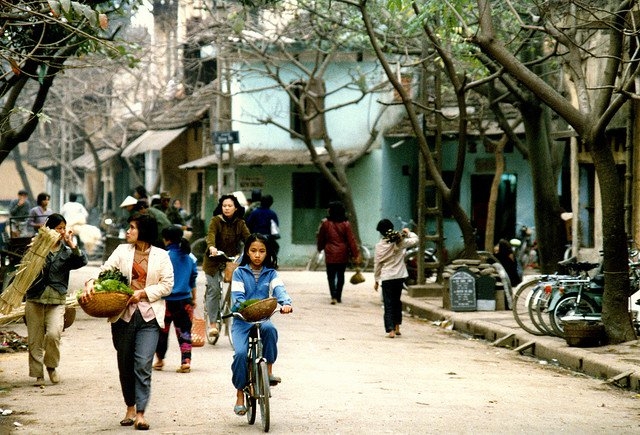 Tản mạn về người Việt: Sự tệ hại của văn hóa “khôn lỏi”