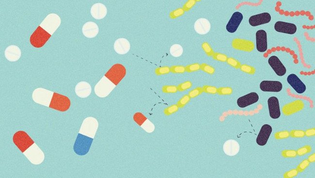 Vi khuẩn đã học được cách chống lại kháng sinh như thế nào?