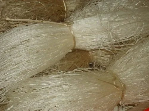 Miến dong Đen phía