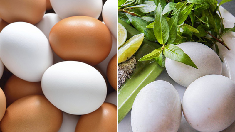 Trứng thường và trứng vịt lộn loại nào bổ hơn