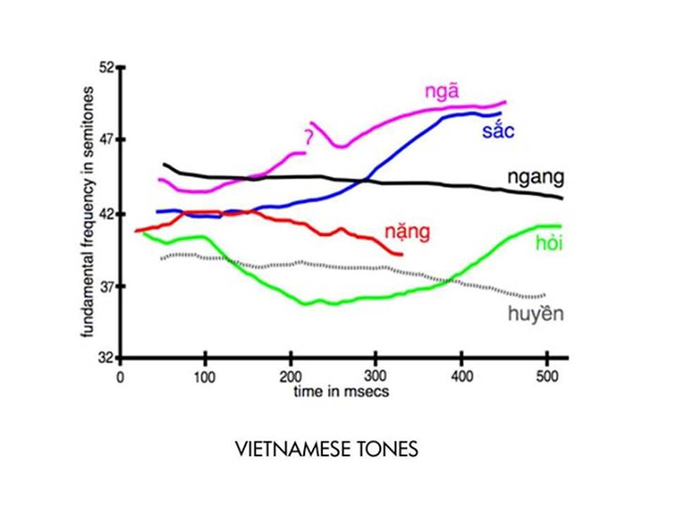 THANH ĐIỆU TRONG TIẾNG VIỆT