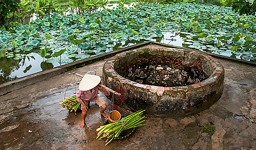 Chút chuyện quanh cái giếng làng tôi