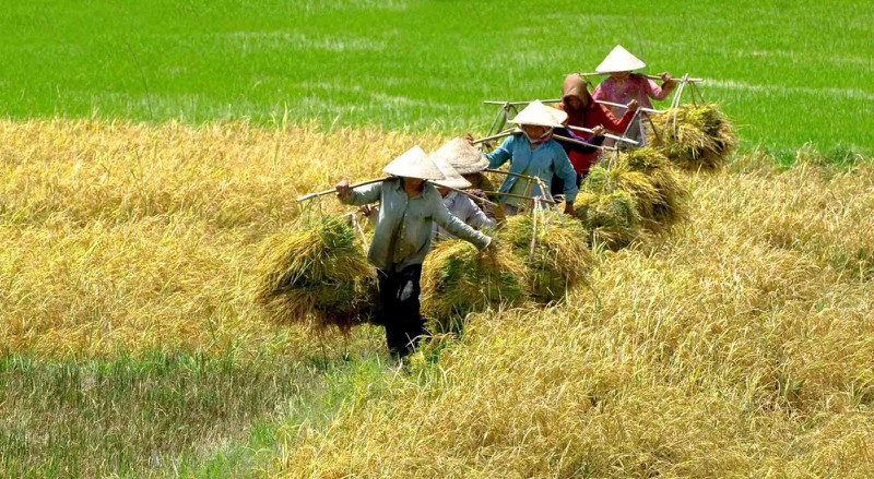 Quê hương tôi ngày ấy