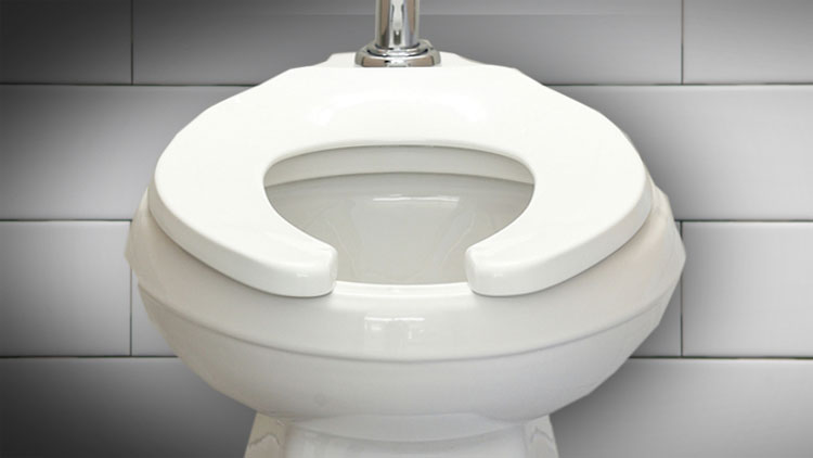 Tại sao bệ ngồi bồn cầu trong các toilet công cộng lại có hình chữ U?