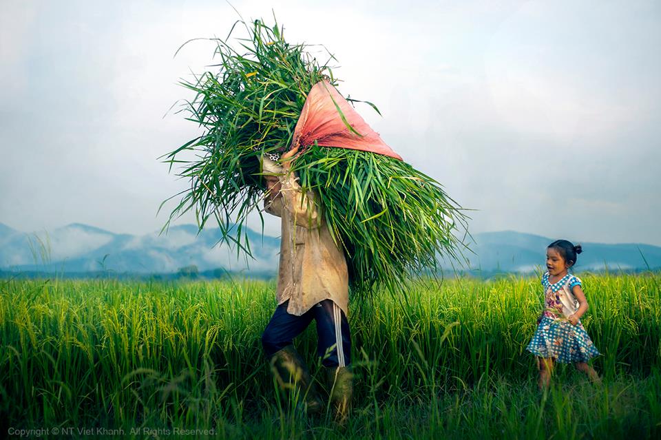 Cho tôi xin một vé đi tuổi thơ", tìm lại kí ức quê hương mình | Thuê Xe Hà  Nội