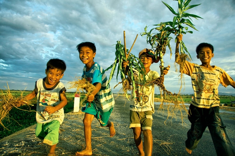 Top 12 Bài thơ hay về tuổi thơ - Toplist.vn