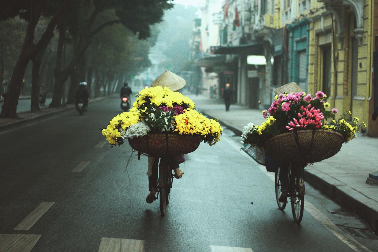 Hà Nội duyên dáng những gánh hoa rong | VIETRAVEL