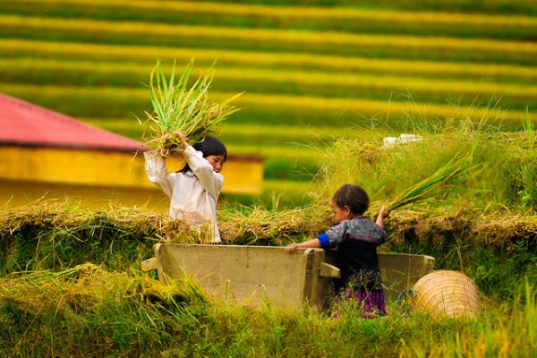 Yêu thương là cho đi những gì mình có.