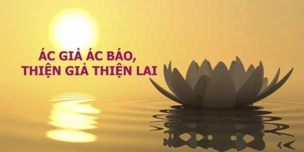 Việc gì cũng có nhân quả của nó | Phật Giáo Việt Nam