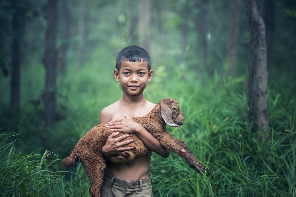 Hãy sống đơn giản