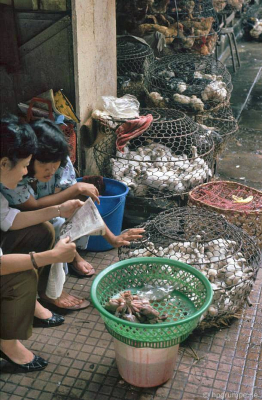 Saigon: Chợ Bến Thành