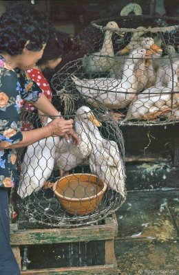 Saigon: Chợ Bến Thành