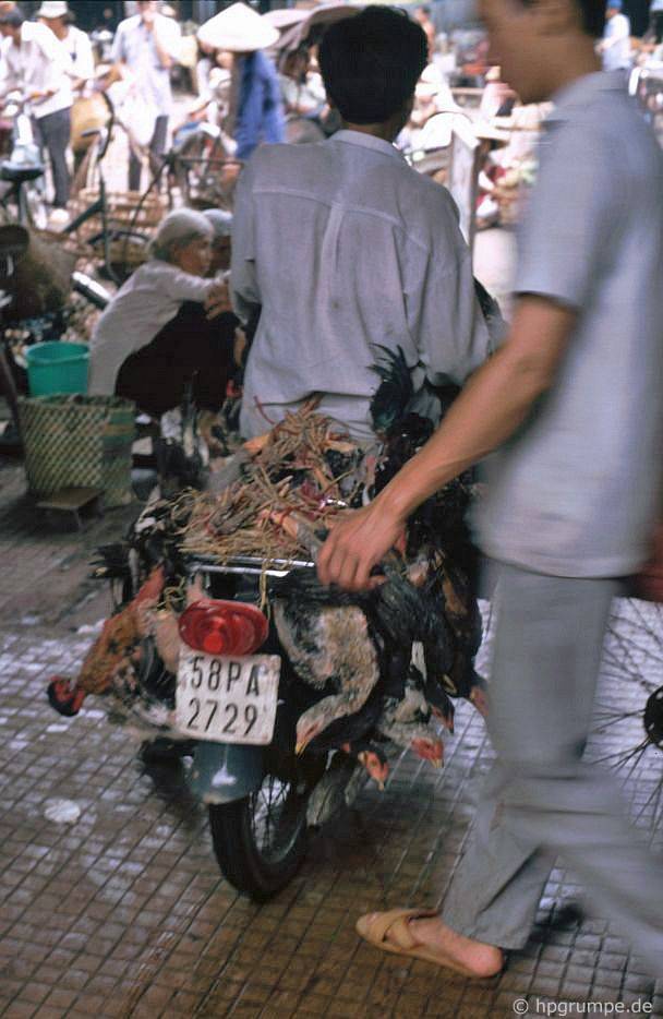 Saigon: Chợ Bến Thành, vận chuyển gia cầm