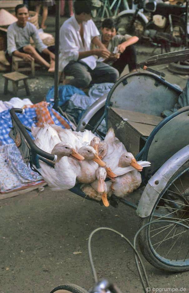 Sài Gòn: Chợ Lớn - Chợ Bình Tây, vận tải