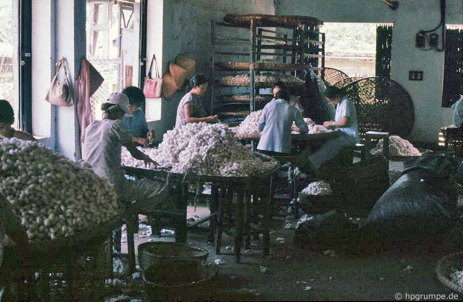 Đà Nẵng: Nhà máy sản xuất thảm - sắp xếp quan tài bằng tơ tằm
